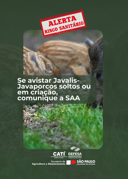 Se avistar Javalis<br>Javaporcos soltos<br> ou em criação, <br>comunique a SAA