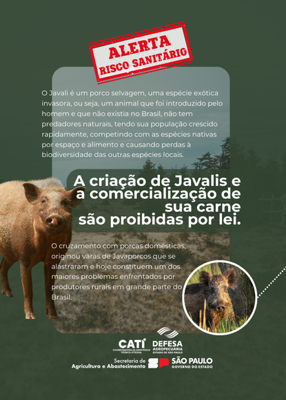 A criação de Javalis <br>e a comercialização<br> de sua carne são <br>proibidas por lei.