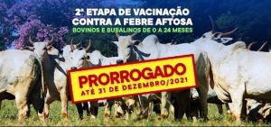 PRORROGADO! VACINAÇÃO CONTRA A FEBRE AFTOSA VAI ATÉ 31 DE DEZEMBRO.