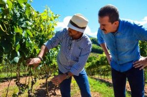 Vinícola Villa Santa Maria recebe visita do secretário de Agricultura de SP