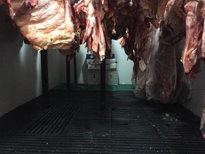 Defesa Agropecuária promove ação em defesa da saúde pública e zela pela a oferta de alimentos seguros à população