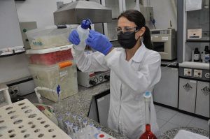 Ital atinge recorde de satisfação de clientes do setor produtivo em 2021