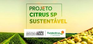 Projeto Citrus SP Sustentável avança e conclui o primeiro módulo de capacitação continuada de técnicos da Defesa e Extensão Rural