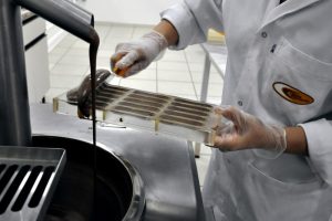 Cacau: setor em alta encontra no Ital oportunidades de inovação aliada à saudabilidade e à sustentabilidade