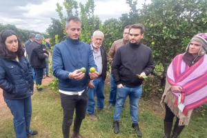 Projeto Citrus SP Sustentável promove capacitação técnica em parceria entre CATI e Fundecitrus