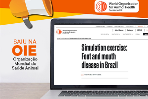 São Paulo treina equipe para atendimento a foco de Febre Aftosa