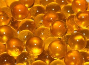 Começa o inverno, melhor época para se produzir truta