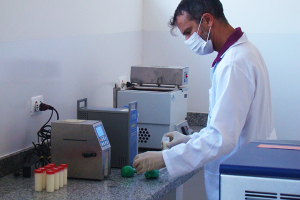 IZ realiza webinar sobre terapias alternativas para melhoria da produção e qualidade do leite