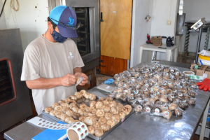 Alho negro: produto tem alto valor agregado