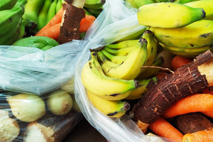 Projeto Cesta Verde avança para segunda fase