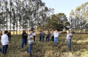 Aplicação de lei conservacionista contribui para a preservação do meio ambiente