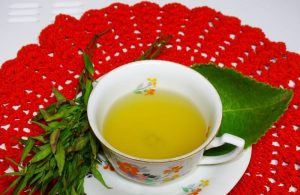 Malvarisco e chambá: plantas medicinais são aliadas da saúde em dias frios e secos