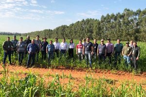 Defesa Agropecuária promove curso para implantação dos Sistemas ILP e ILPF no Estado de São Paulo