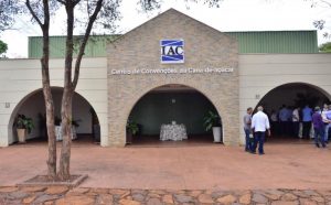 IAC lança cinco variedades de cana com alta produtividade e adaptação a diversas regiões