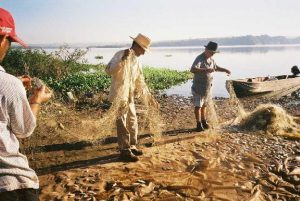 Inicia-se hoje, 1º de novembro, o Defeso da Piracema