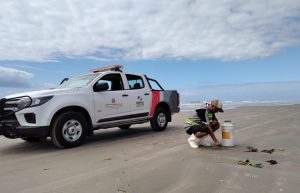 Vigilância ativa da Coordenadoria de Defesa Agropecuária contribui para barrar entrada da Influenza Aviária no país