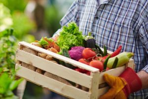 Agronegócio Paulista tem saldo recorde em 2022