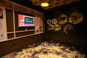 Dica da Secretaria de Agricultura de SP para aproveitar as férias com a criançada