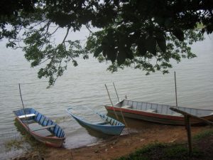 Termina hoje o período de defeso de piracema