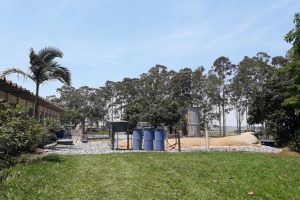 Otimização de recursos e ganhos em sistemas de produção animal