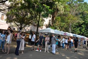 Festa do Cacau, no Instituto Biológico, recebe mais de 3 mil visitantes