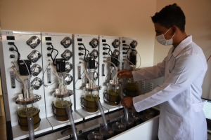 Pesquisas do IZ contribuem para a redução da emissão de metano com a pecuária sustentável