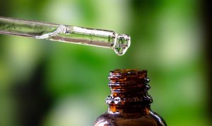 Câmaras Setoriais e Temáticas da Agricultura podem intensificar retomada de pesquisa do cânhamo no Estado