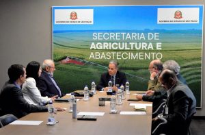 Integração lavoura-pecuária-floresta é referência de agro sustentável