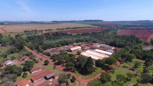 CATI realiza Dia de Campo sobre leguminosas de verão e ILPF