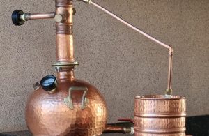 Apta Regional entrega ao produtor rural alternativas de agregação de valor à sua produção com pacotes tecnológicos para APLs