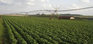 Saiba como participar das discussões sobre o orçamento de SP para os próximos anos