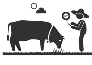 Zootecnia de Precisão é tema de curso oferecido pelo IZ em Ribeirão Preto