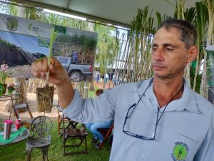 “Virada de chave”, diz produtor de cana sobre parceria com Instituto Agronômico