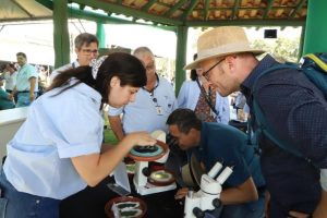 Demonstração de excelência do Instituto Biológico (IB) em controle biológico é destaque na Agrishow