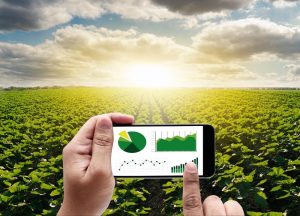 Conectividade pode elevar produtividade no campo em até 25% em São Paulo