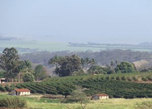 Secretaria de Agricultura e Ministério Público discutem procedimentos para revisão dos Termos de Ajustamento de Conduta firmados com proprietários de imóveis rurais