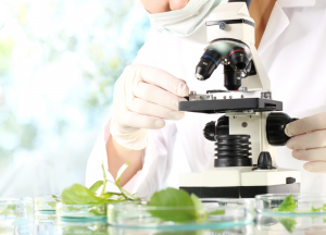 Secretaria de Agricultura de SP abre concurso público para contratar 37 pesquisadores científicos