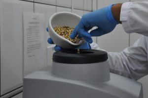 Ital recebe inscrições até segunda-feira (31) para bolsa pós-doc dedicada a proteínas vegetais