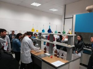 Ações do Instituto de Pesca para a valorização da qualidade do pescado visam o desenvolvimento sustentável da cadeia produtiva