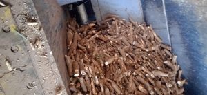 Mandioca do insumo ao consumo