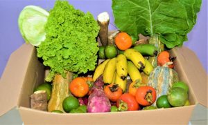 Secretaria de Agricultura e Abastecimento abre edital para compra de alimentos da agricultura familiar