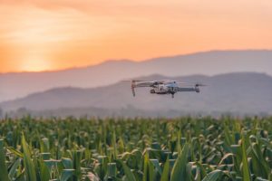 Artigo técnico apresenta políticas públicas da Secretaria de Agricultura até 2026