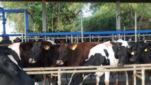 Centro de Pesquisa do IZ contribui para formação de alunos de escola técnica