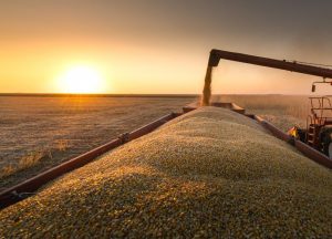 Exportações do agro em São Paulo crescem 5,4% e atingem US$ 15,15 bilhões em julho de 2023