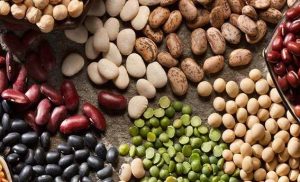 Quantidade de isoflavonas em diferentes cultivares de soja poderá influenciar nichos de mercado