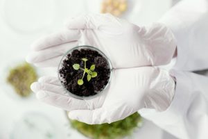 Seminário do Ital discutirá desafios e tendências em governança e gestão da segurança dos alimentos