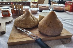 Secretaria de Agricultura cria Câmara Setorial do Queijo Artesanal e cadeia produtiva elege primeiro presidente