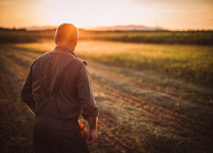 Dia do Fazendeiro: Secretaria de Agricultura de SP parabeniza esses importantes empresários do agro