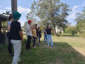 Apta Regional e IB fazem intercâmbio científico em sistemas agroflorestais