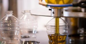 Câmara Setorial de Olivicultura realiza reunião para fortalecer a cadeia produtiva